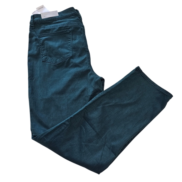 Chicos's So Slimming Girlfriend Slim Leg Ankle Green Pants Sz 2.5R ( US 14R) - Picture 1 of 6